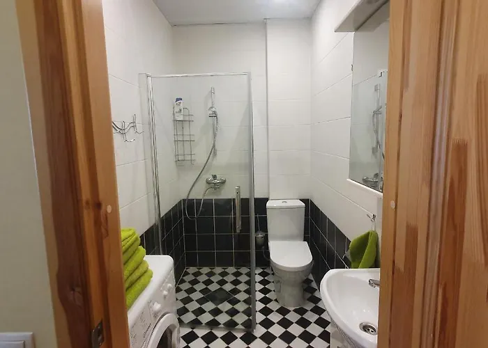 Hot Ernestines Iela 7-1 Enjoy The Feel Of And History! * リガ